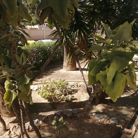 104 Casa Olivia شقة *