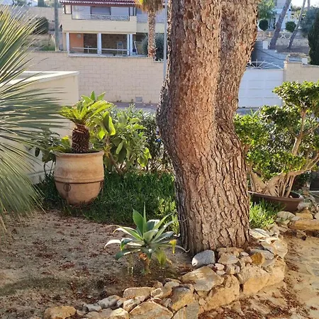 104 Casa Olivia شقة