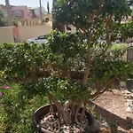 104 Casa Olivia Апартаменты *