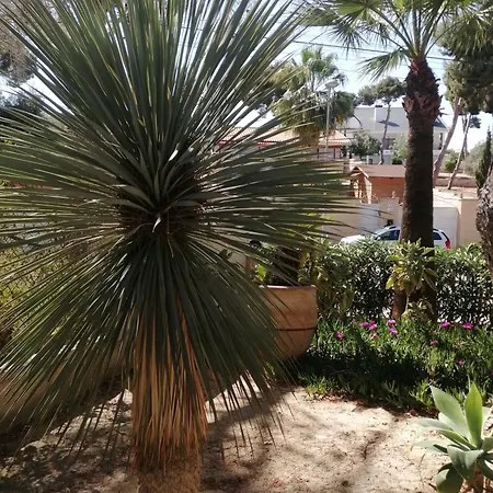104 Casa Olivia * Alicante