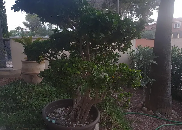 Lägenhet 104 Casa Olivia