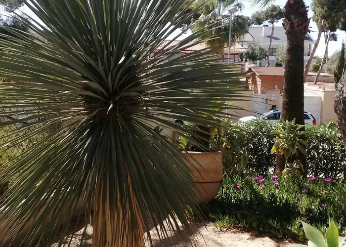 104 Casa Olivia * Alicante