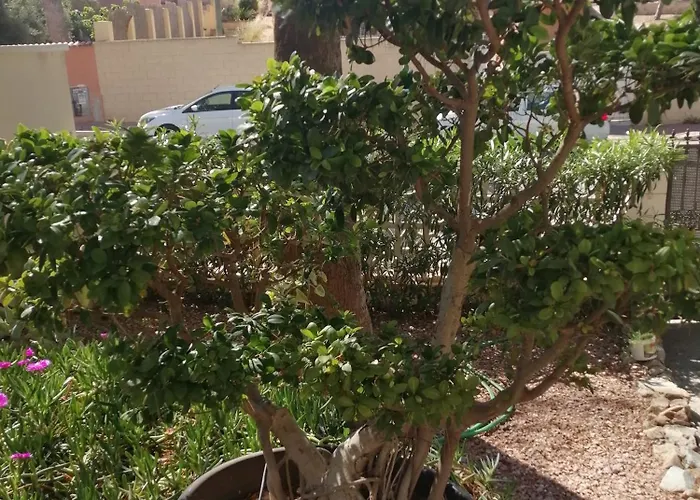 104 Casa Olivia Lägenhet *